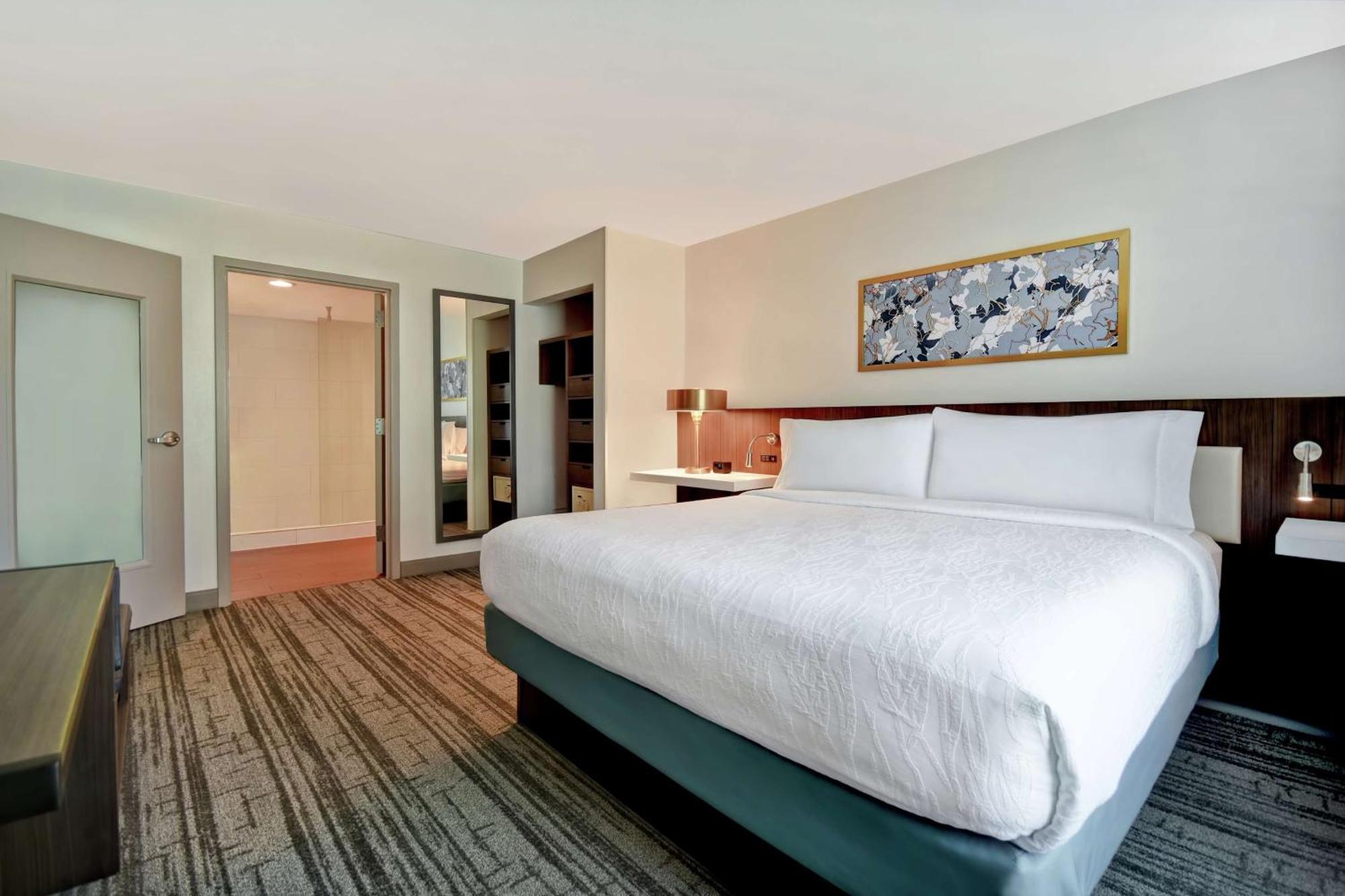 Hilton Garden Inn Houston/Galleria Area Buitenkant foto