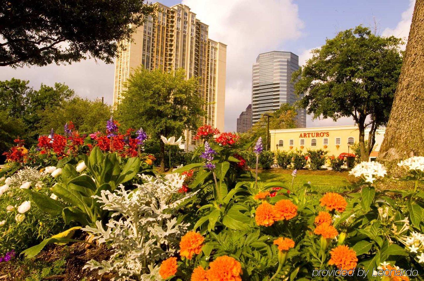Hilton Garden Inn Houston/Galleria Area Voorzieningen foto