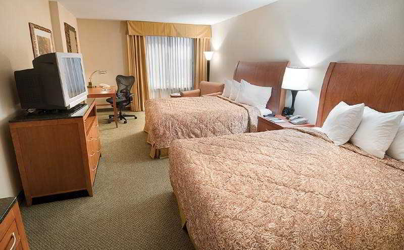 Hilton Garden Inn Houston/Galleria Area Buitenkant foto