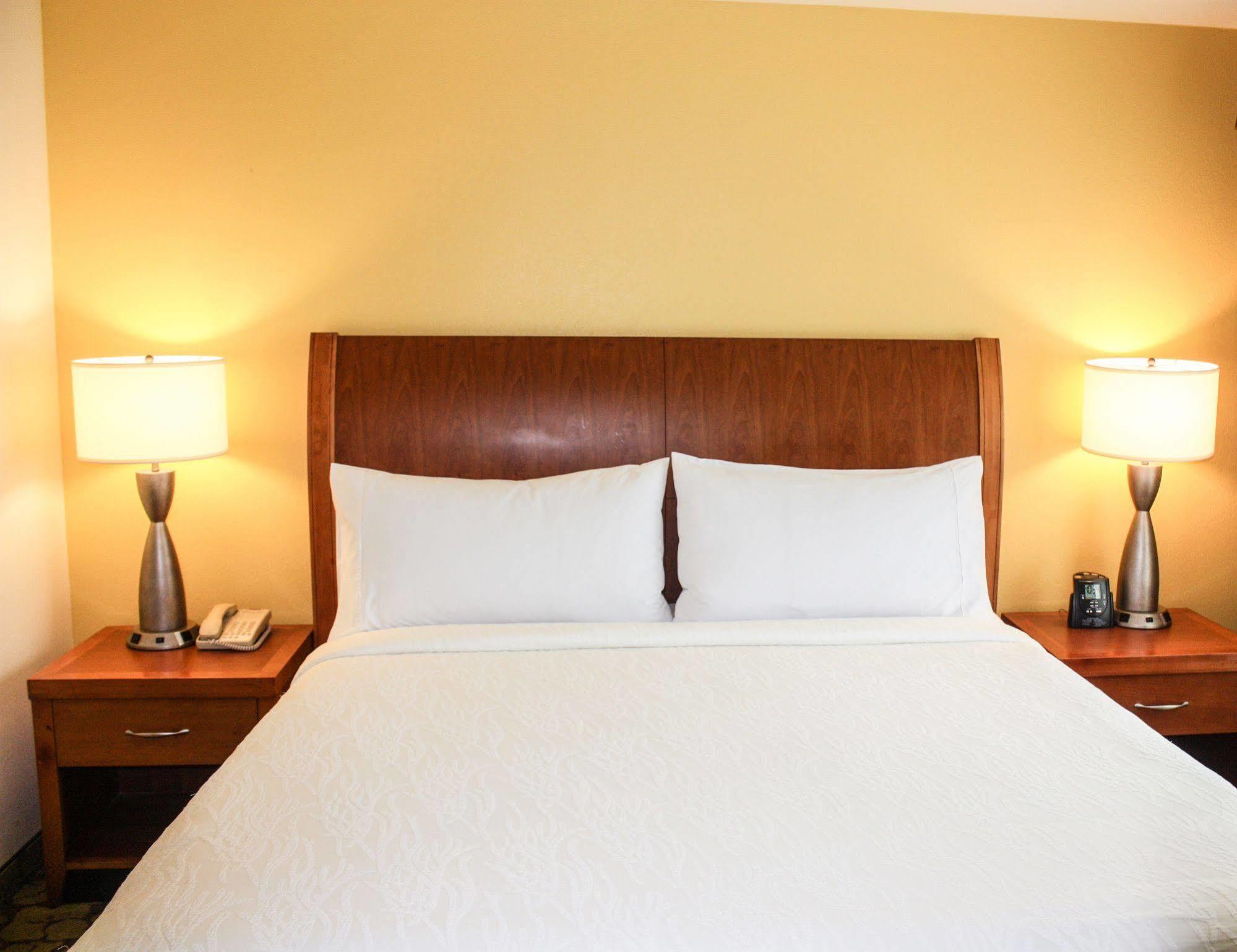 Hilton Garden Inn Houston/Galleria Area Buitenkant foto