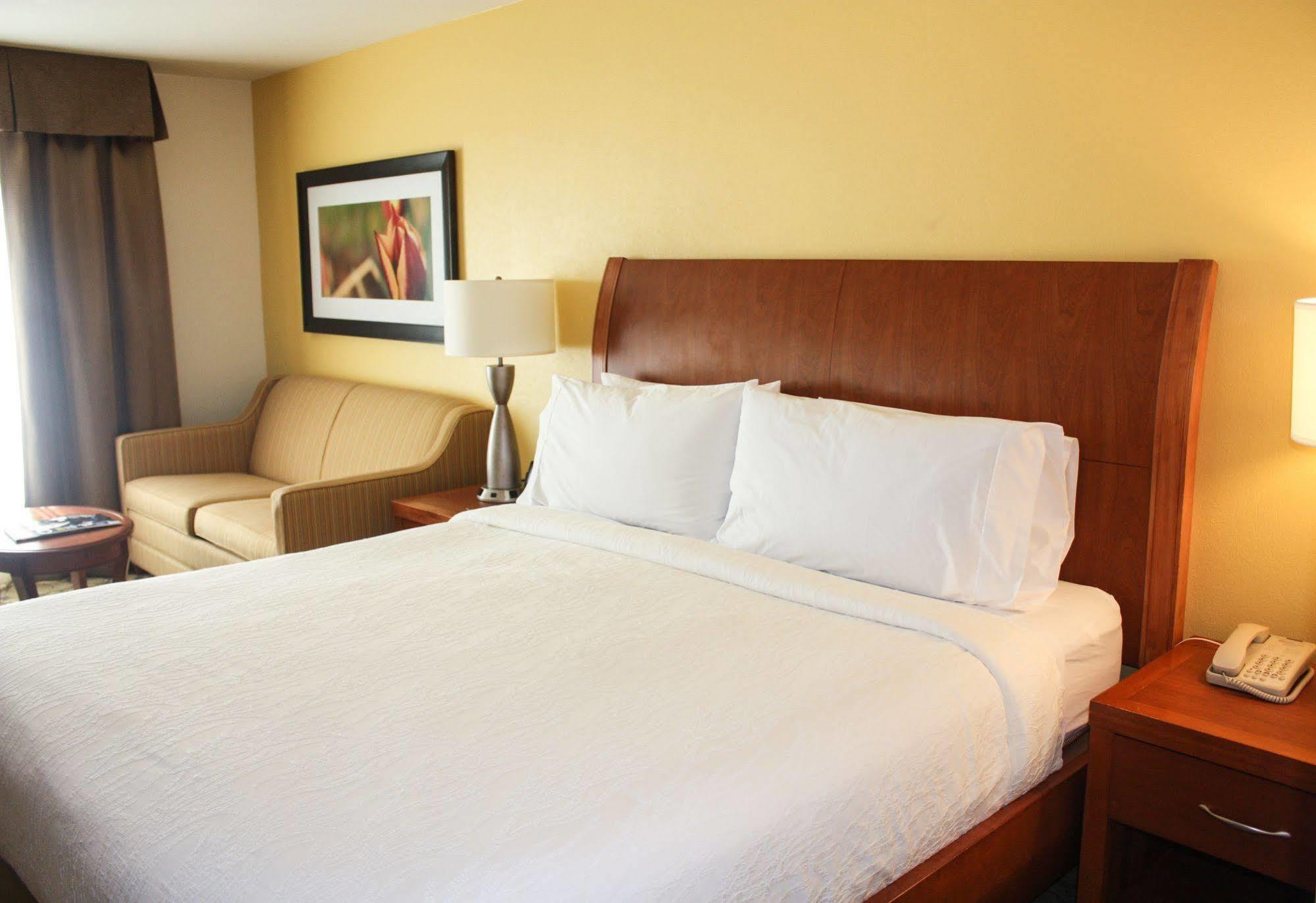Hilton Garden Inn Houston/Galleria Area Buitenkant foto